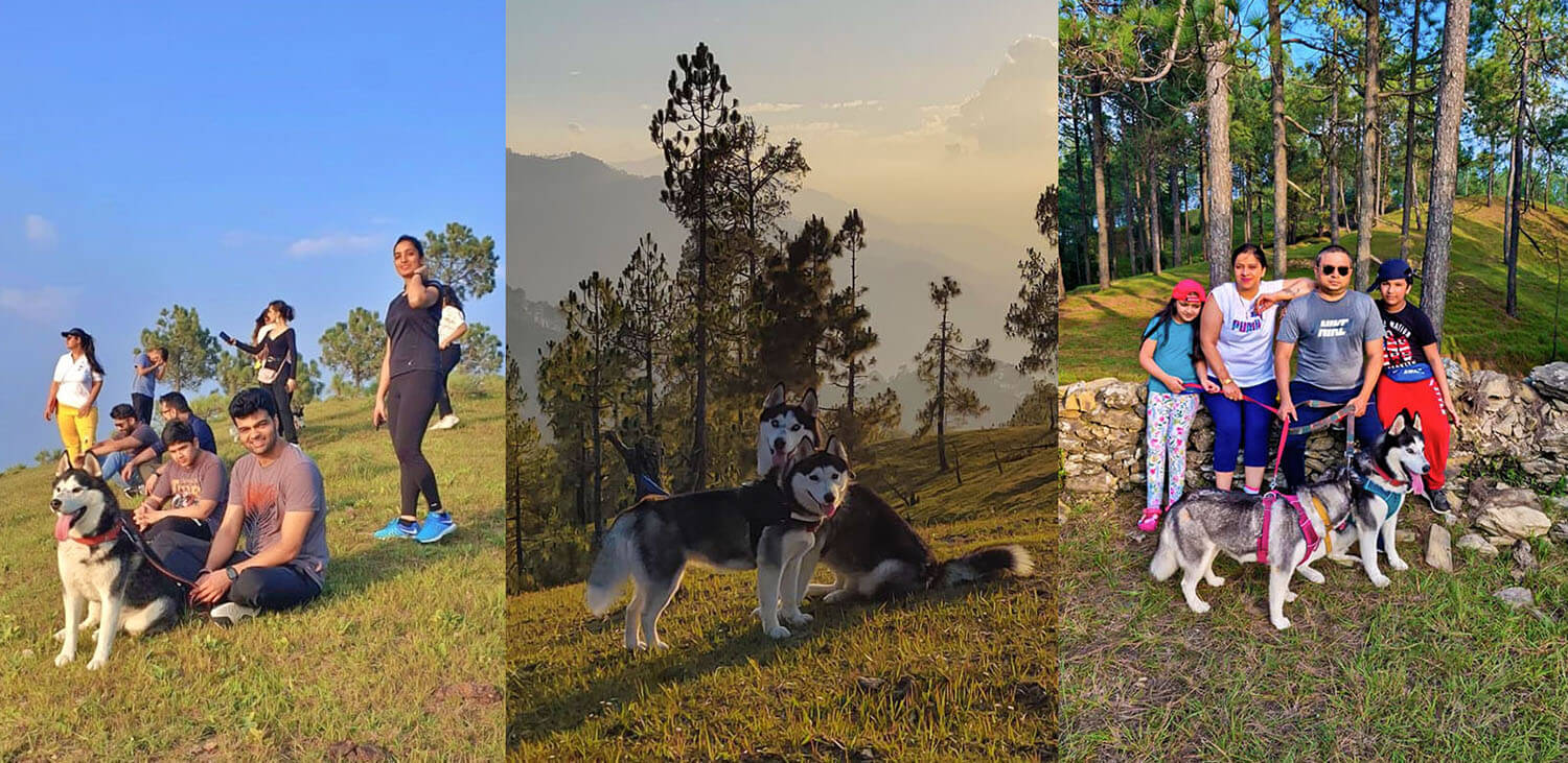 Experiences and Activities at Vatsyayana Resorts