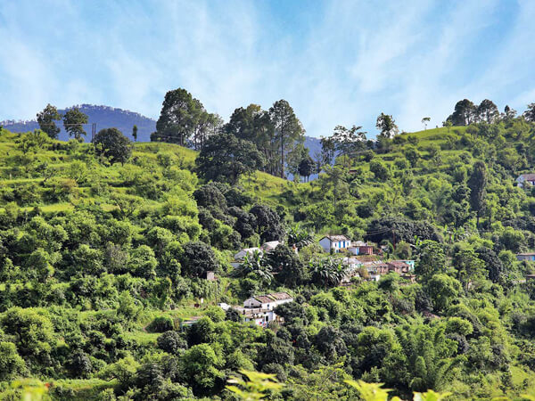 Vatsyayana Resorts