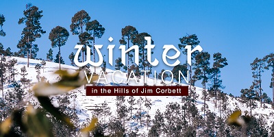 Winter Vacation Package | vatsyayana Resort