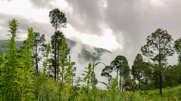 Vatsyayana Resorts