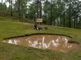 luxury resorts near delhi