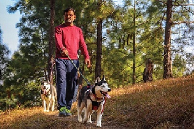 resorts near delhi for corporate outing