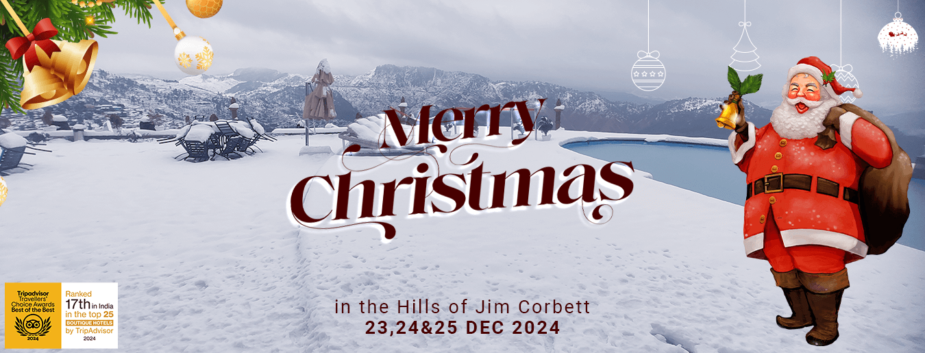 Christmas Package | Vastsyayana Resorts