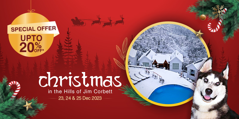 Christmas Package