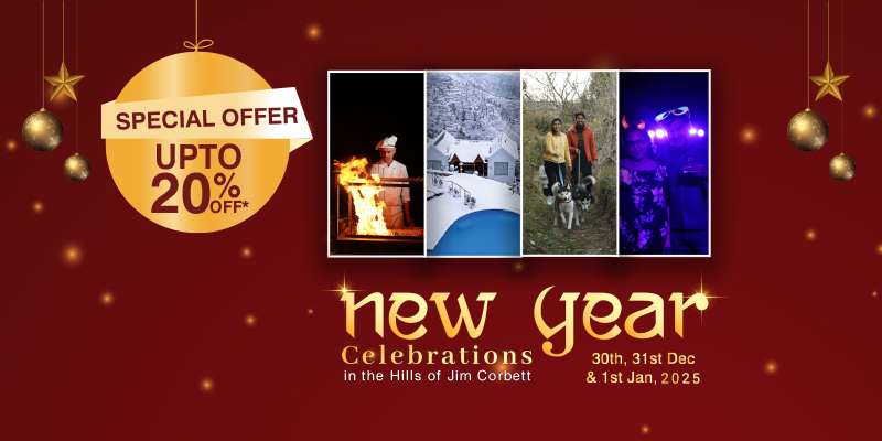 New Year Package