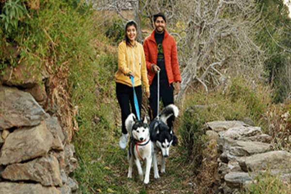 luxury resorts for winters