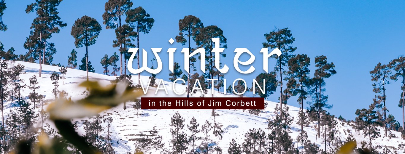 winter vacation package