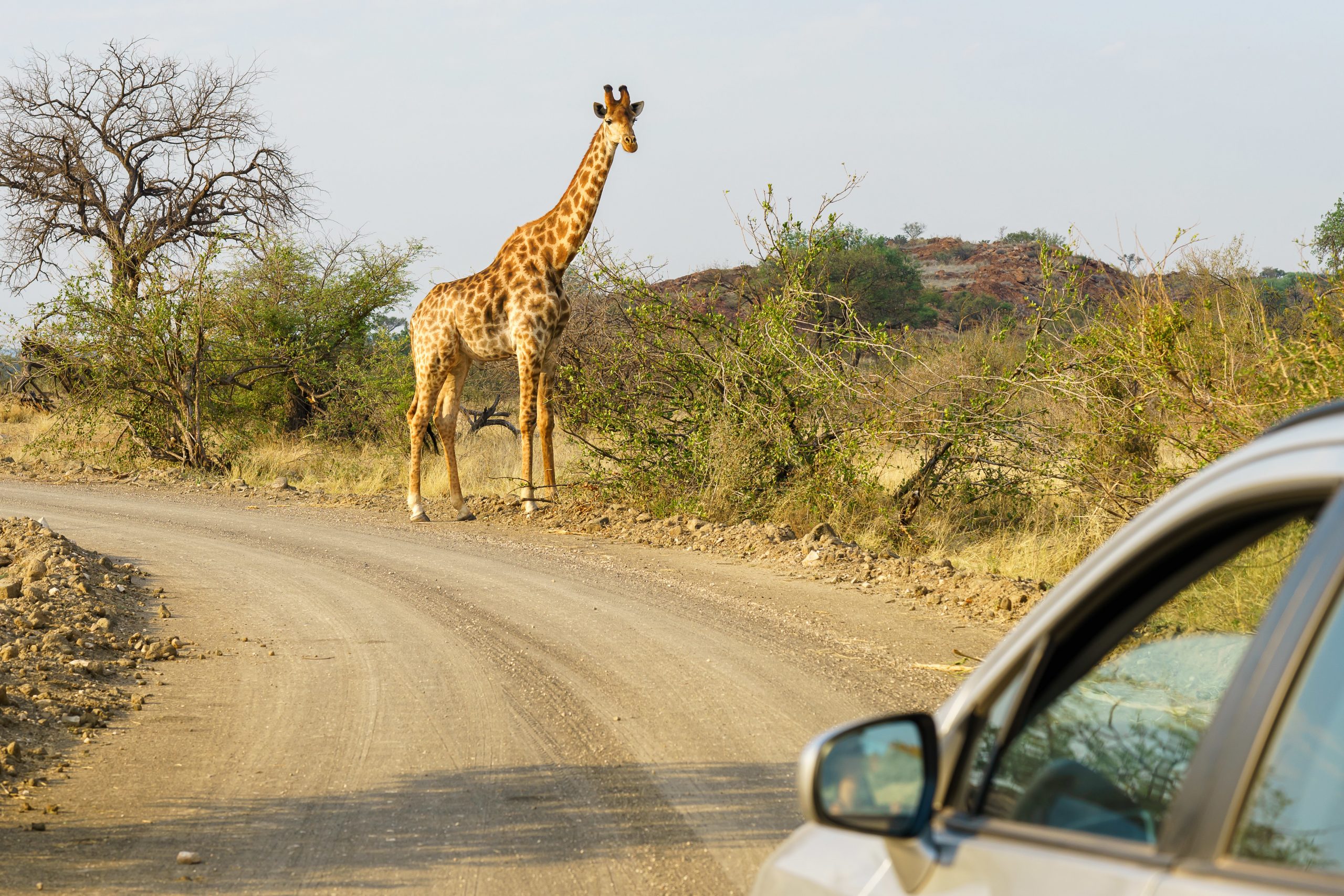 Delhi to Jim Corbett